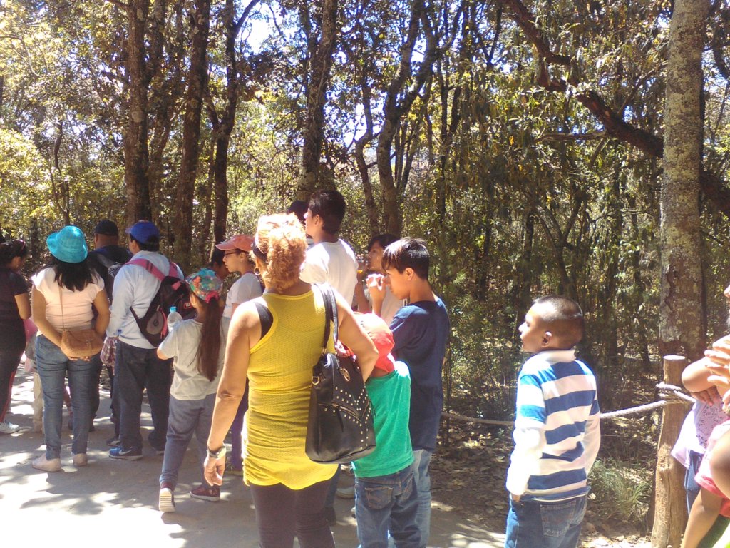 Parental Skills Workshop, recreational trip.