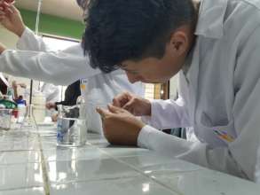 Practical learning in the laboratory