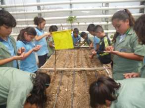 Bumper crop of students with ag abilities