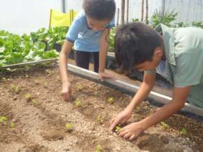 Students transplanting