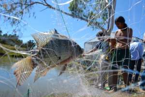 A successful fishing expedition