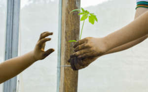 Let's sow hope for El Salvador