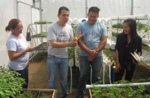 Greenhouse fun!