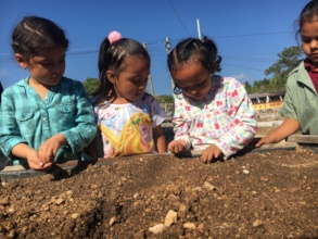 Children planting radish.