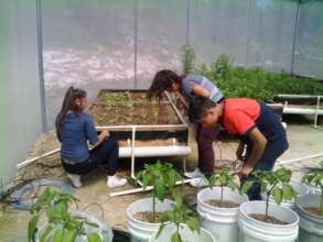 Amun Shea students working on the watering system
