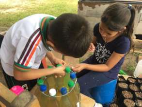 Construction of pots with recycled bottles.