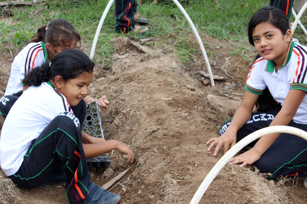Aquaponics Solution to Climate Change