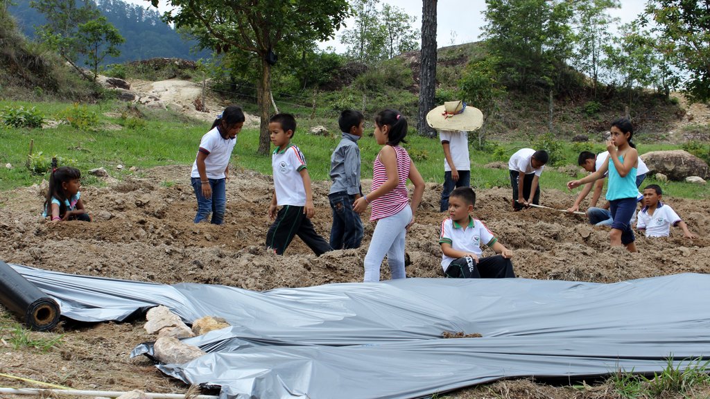 Aquaponics Solution to Climate Change