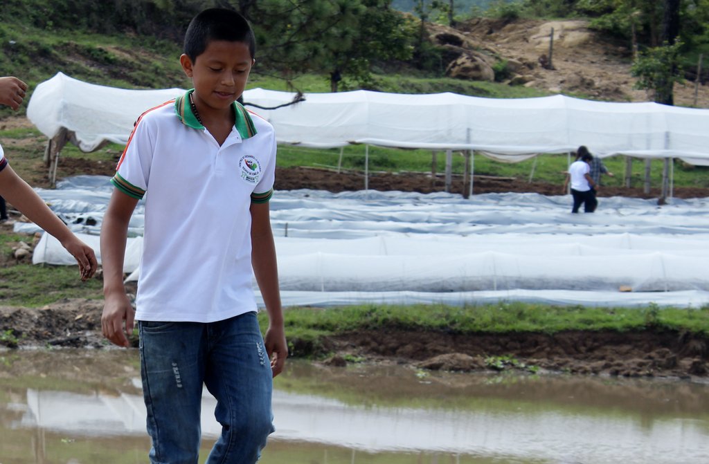 Aquaponics Solution to Climate Change