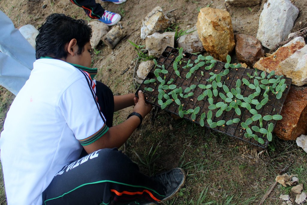Aquaponics Solution to Climate Change