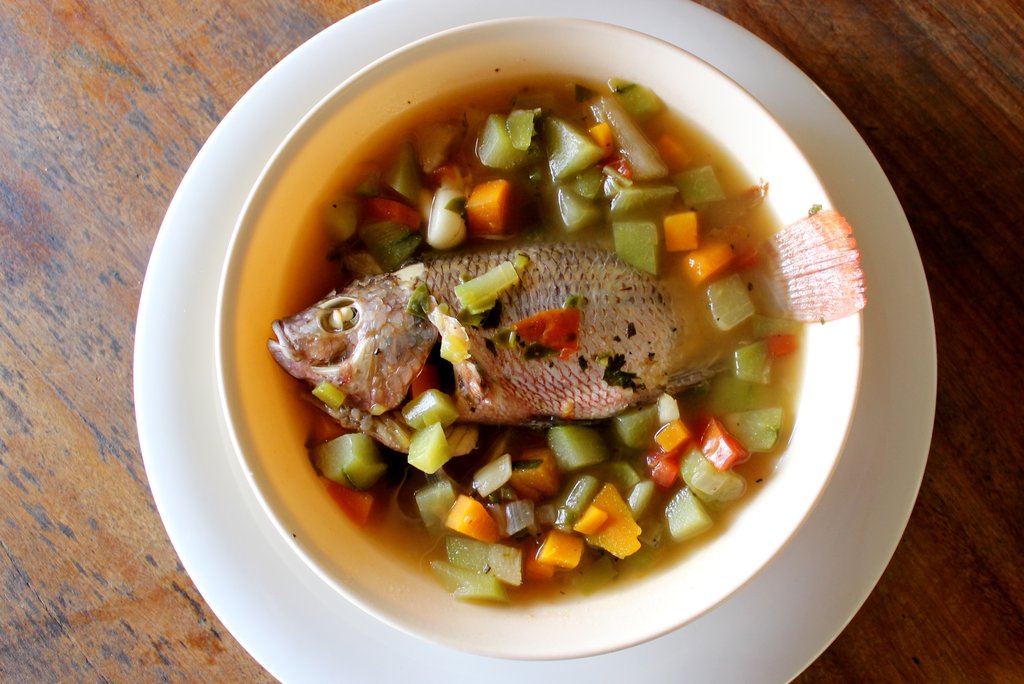 Aquaponics Solution to Climate Change