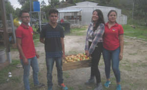 Mario, Rodrigo, Navidad and Karina: first fruits
