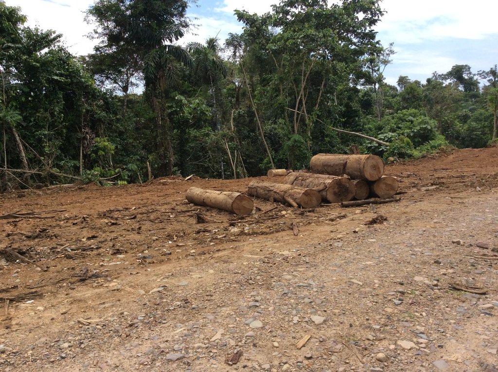 Build a Classroom, Save the Amazon