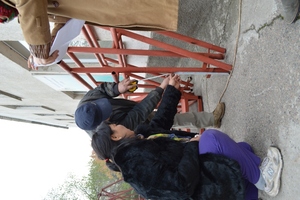 ARDI playground
