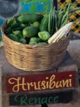 First Harvest with Zapotec word for rebirth