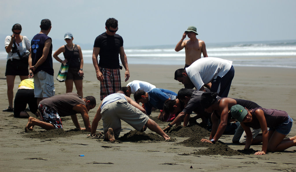 Train poachers to be nature guides in Costa Rica