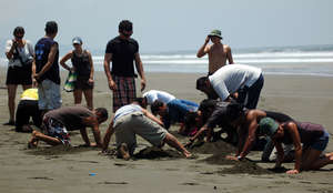 Train poachers to be nature guides in Costa Rica
