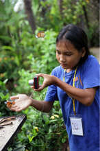 Shooting a Butterfly