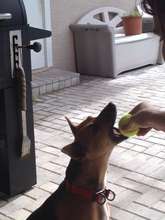 Queen and the ball