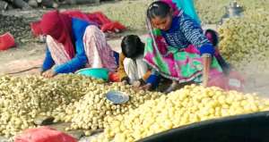 Empowering Rural Women With Small Business !!