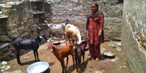 Goat Rearing Activity by SHGs