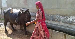 Animal Husbandry Activity by SHGs