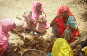 The Women SHGs making organic fertilizer