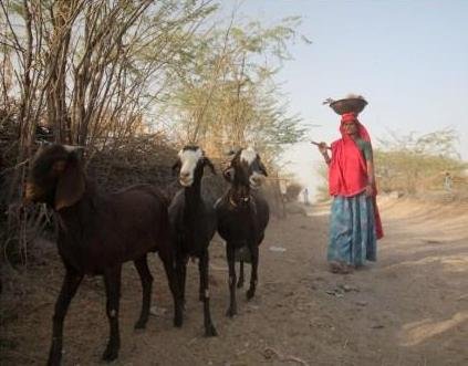 Empowering Women's with Sustainable Livelihood