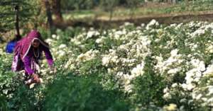 Reshma's happiness with flowers