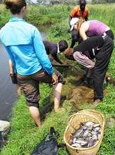 Sustainable aquaculture