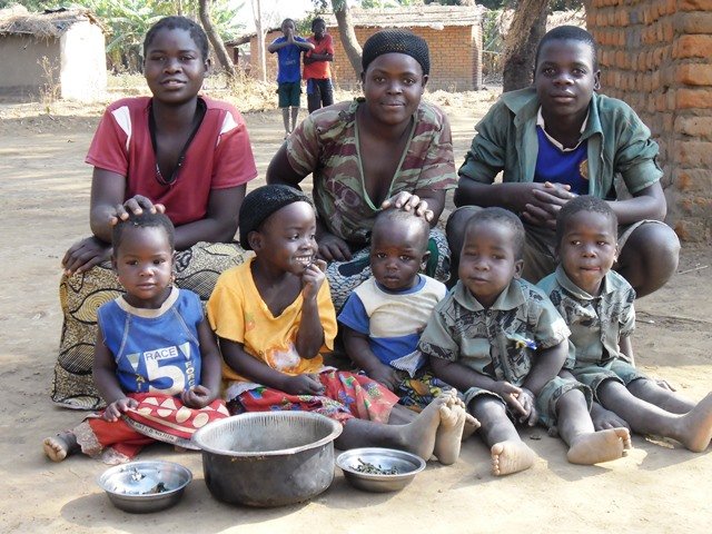 Train 500 rural youths in Zambia in aquaculture