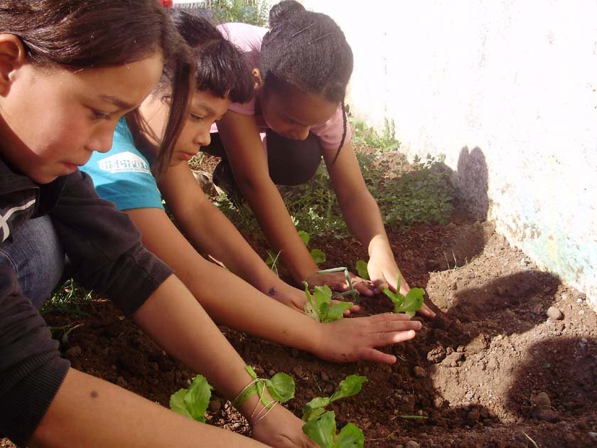 Improve the nutrition of Brazilian children