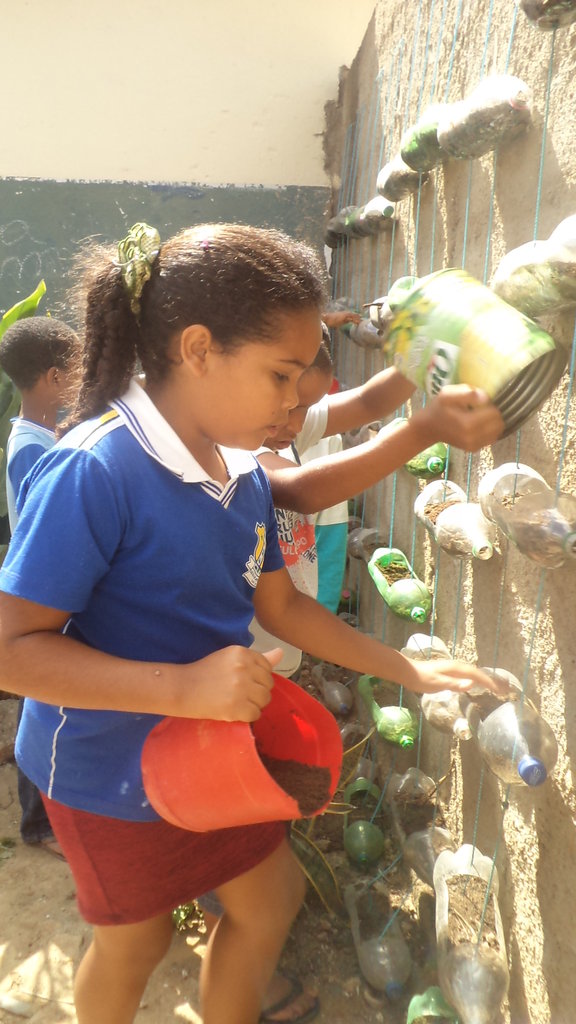 Improve the nutrition of Brazilian children