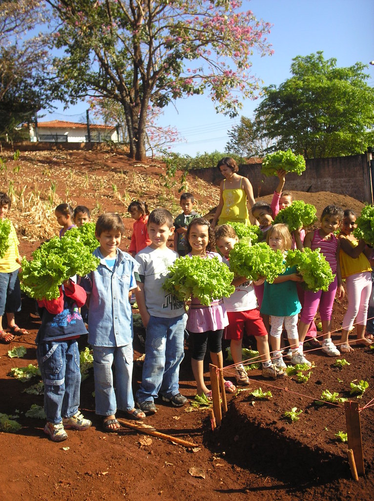 Improve the nutrition of Brazilian children
