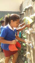 Bottle Garden
