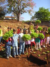 Community Gardens