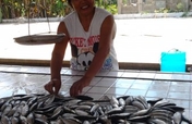 Create a fund to make microloans to women
