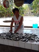 Create a fund to make microloans to women