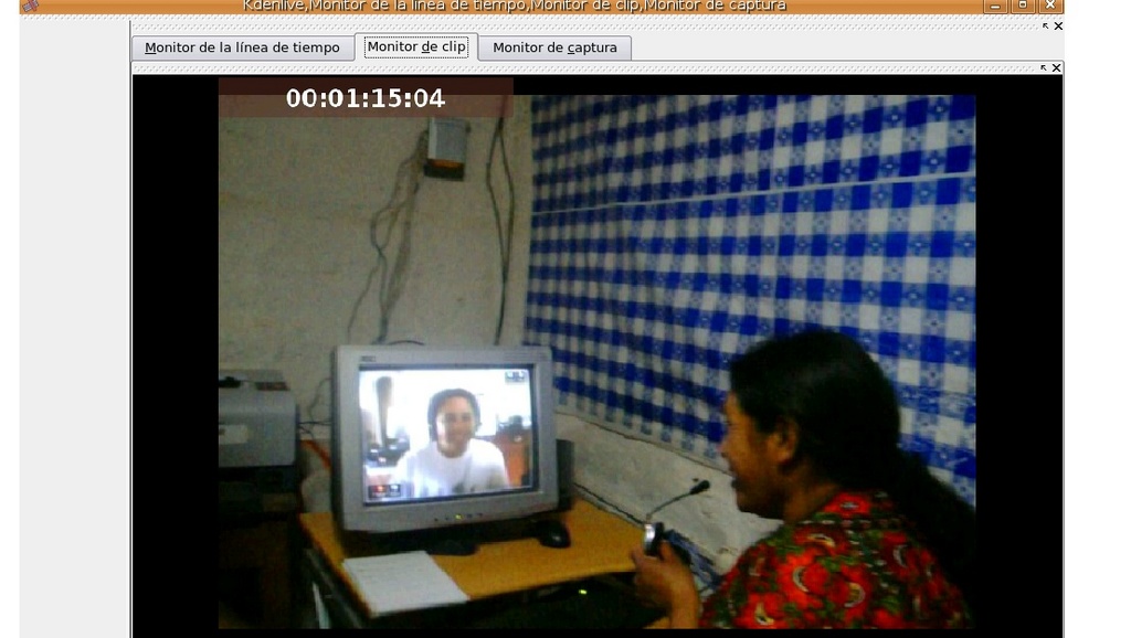 Woman using Skype to videoconference