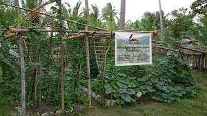 Bahay Kubo Vegetable Garden November 30, 2014