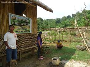 Photo Credit: Cordi Eco-Center Pine Tree
