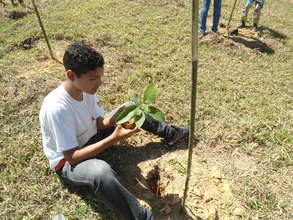 Environmental Education and Intervention