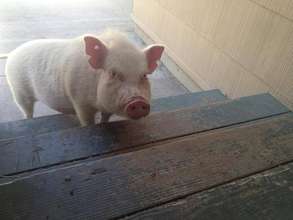 Ethel