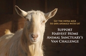 Help Harvest Home purchase our first rescue van!