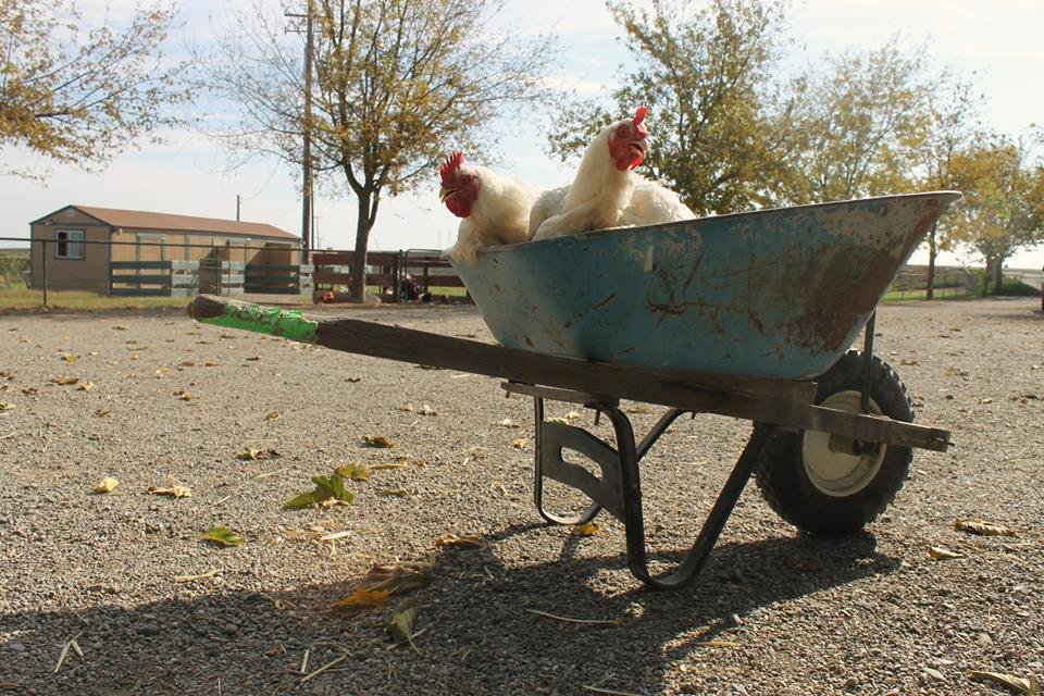 Help Harvest Home Buy a New Set of Wheels!