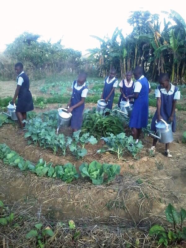 Seed schools in Zambia to preserve the environment