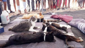 HAH-Namibia April mobile clinic