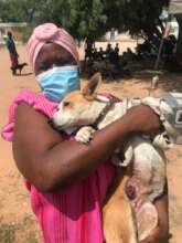 Mercy had a tumor on her belly that was removed