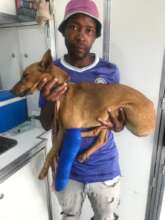 Ousietjie-greenstick fracture-mended & sent home