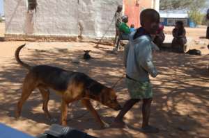 August 14 return customers